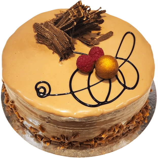 Tulpan choklad nougat - Mintårta